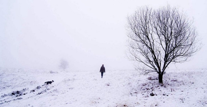 屬豬的人大寒節(jié)氣出生命好嗎大寒天出生好不好