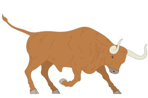 2021年屬什么生肖?