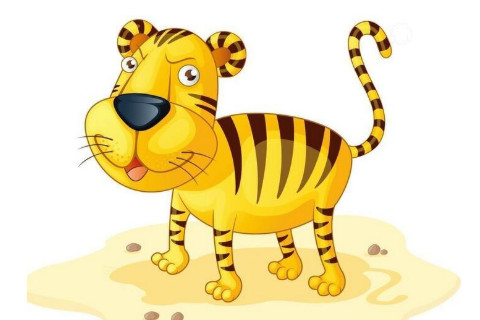 2022年屬虎本命年的注意事項,虎年本命年風水講究