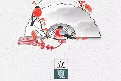 1983年屬豬的人在立夏出生好嗎,屬豬人農歷幾月出生命好?