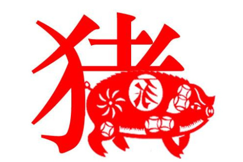 生肖屬豬的人一生命運如何?