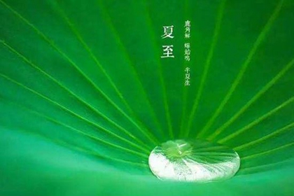 1982年夏至出生的狗命好嗎,夏至是哪個季節(jié)節(jié)氣?