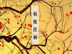 屬雞的人在2005年霜降出生日柱論命以及整體大運詳解！