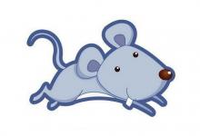 屬鼠的幾月出生好命格?