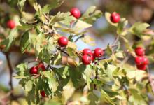 免費算個人姻緣何時到?