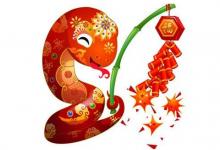 2013年是什么生肖年?