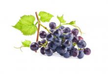 做夢夢到葡萄是什么意思?