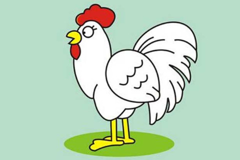 屬雞跟什么屬相犯沖?