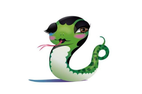 什么命能旺屬蛇大林木命的人？