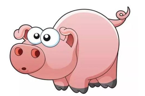 辛亥年屬什么生肖?