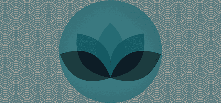 男人各種鼻型圖解大全