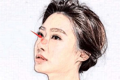 鼻子長的女人好不好?