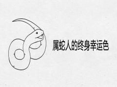 屬蛇人的終身幸運(yùn)色