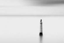 楊柳木命的人好不好?