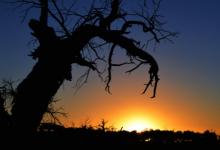 做夢夢到別人sharen
是什么意思?