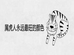 屬虎人永遠(yuǎn)最旺的顏色