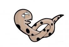 生肖屬蛇的一生命運(yùn)如何?