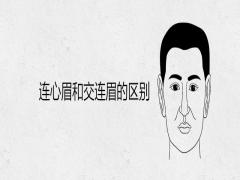 連心眉和交連眉的區別男人有這種眉形好不好