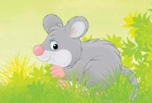 屬鼠女孩子出生最為適當(dāng)時辰