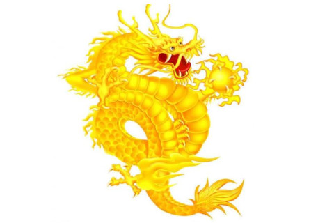 屬龍人的五行屬什么?