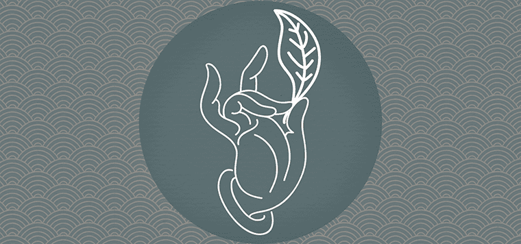 炫酷霸氣帥氣昵稱最吸引人的有哪些