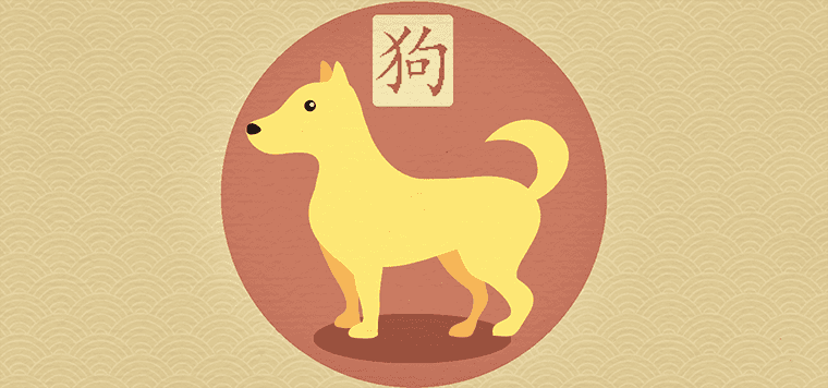 個性寵物名字排行榜