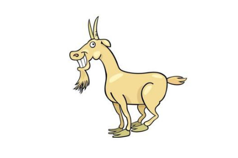 屬羊人的財運(yùn)在哪個方向?