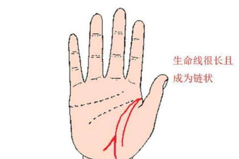 怎么從手相看壽命?