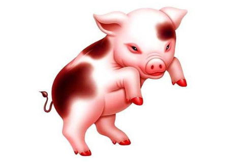 與屬豬的最不配的生肖有哪些?