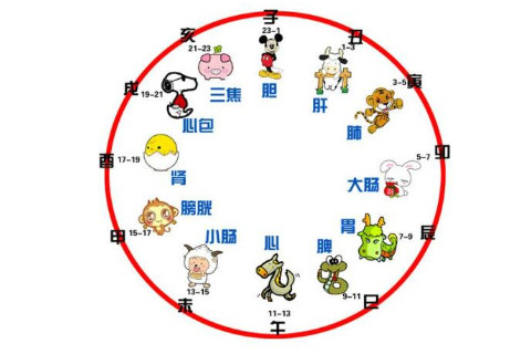十二時(shí)辰生肖對(duì)照表
