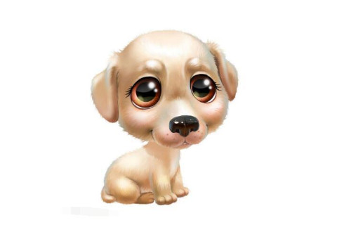 2018年打一生肖？