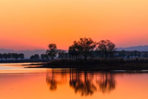 鼠寶寶取名字最為適當字