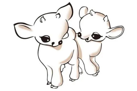 1991年11月19日屬什么生肖?