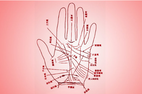 擁有什么手相的人最招財?