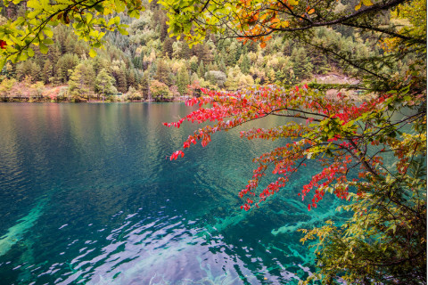 五行屬木最吉利的名字