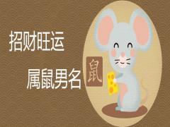 鼠年男孩最合適的名字有哪些招財旺運