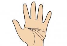 工作出色的手相特征