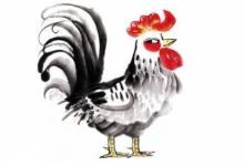 屬雞五行缺土的女孩名字