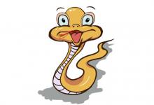 生肖屬蛇配哪些屬相好?