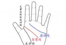 手上沒有成功線代表了什么?