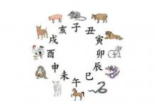 生肖出生怎么算五行屬性?