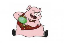 生肖豬與什么生肖不配?