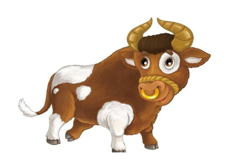 什么生肖和屬牛相沖?