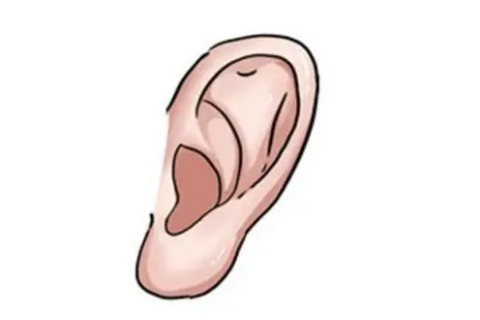 耳朵有福氣的面相特征