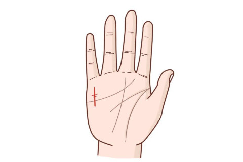 手相水星線財富線代表了什么?