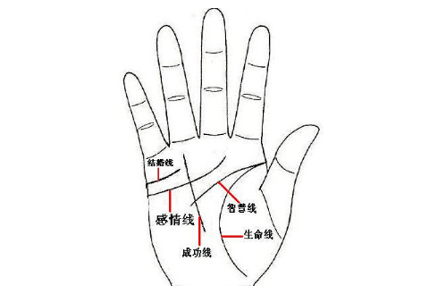 姻緣線怎么看手相?