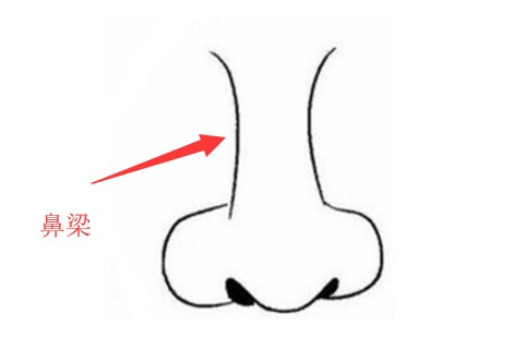 鼻子面相看人生運程