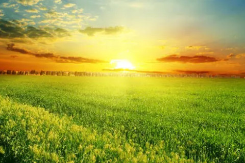 尖酸刻薄的八字特征