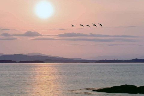 夢見海盜是什么預兆?