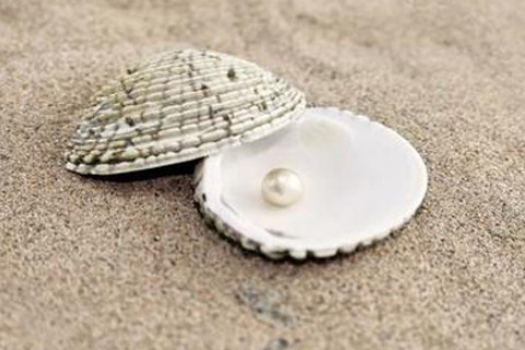 海中金命和什么命最配？